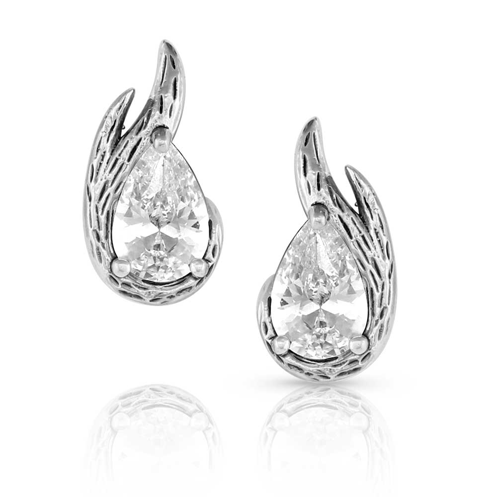 Frozen in Time Post Earrings